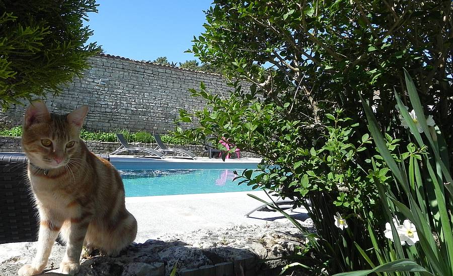 villa-del-re-relaxation-piscine